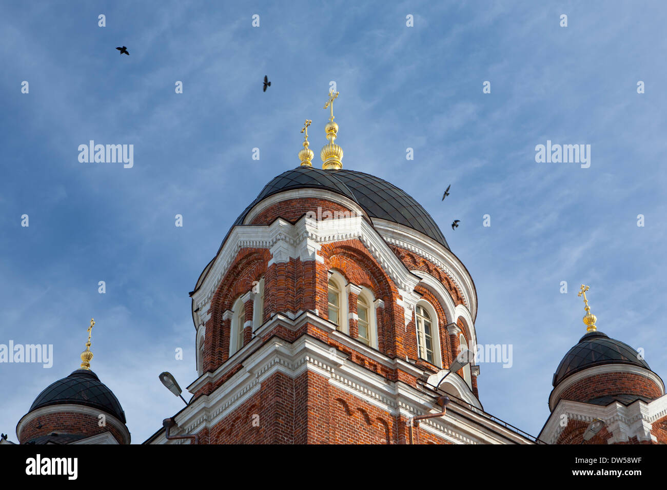 Domes of St Vladimir's Cathedral in Spaso-Borodinskiy monastery Stock Photo