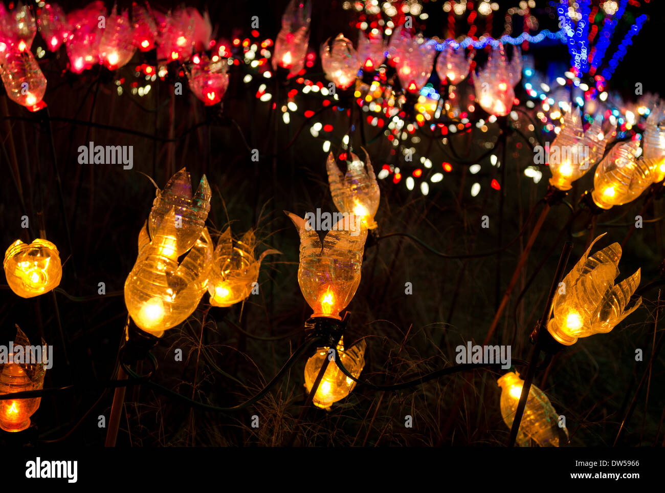 Colourful Christmas lights with flower shaped coverings made with recycled plastic bottles. Stock Photo