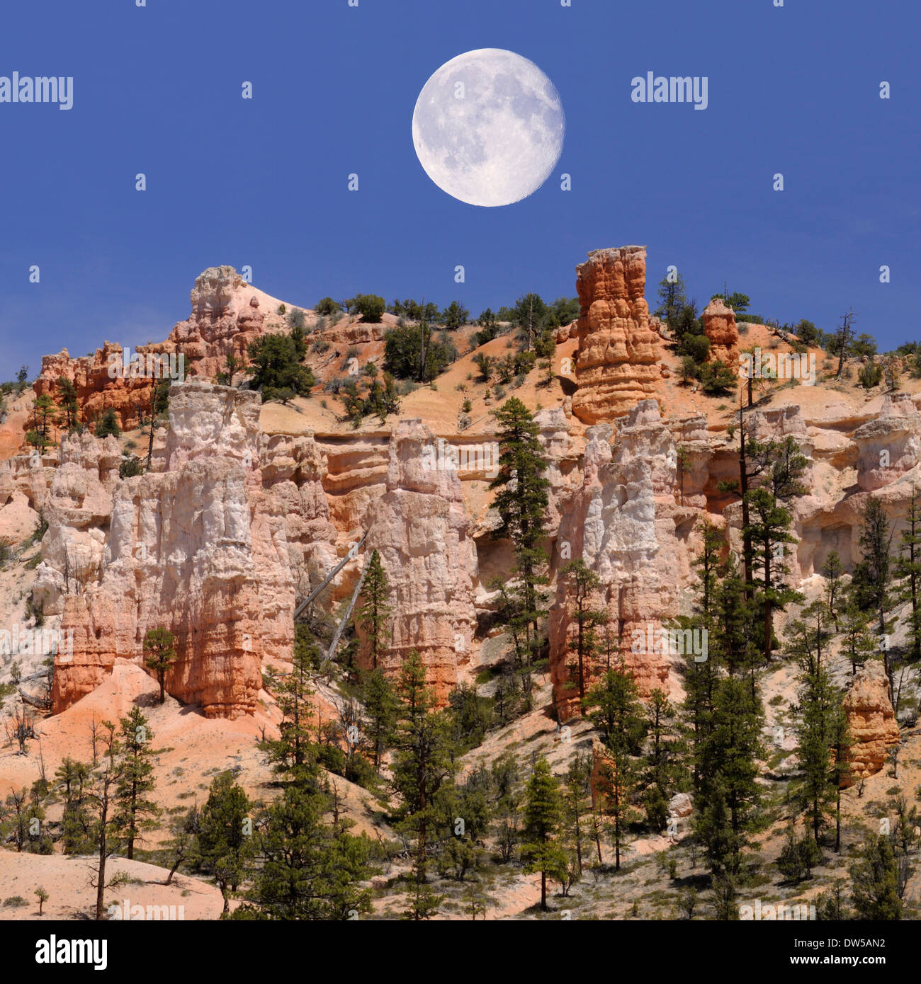 full moon over breathtaking view of oddly shaped hoodoos and rock spires at iconic, world-famous Bryce Canyon in southern Utah, USA Stock Photo