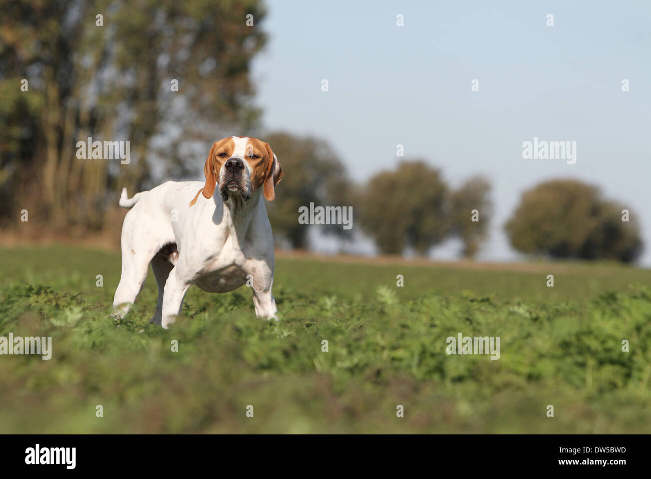 Smoother exterior hi-res stock photography and images - Alamy