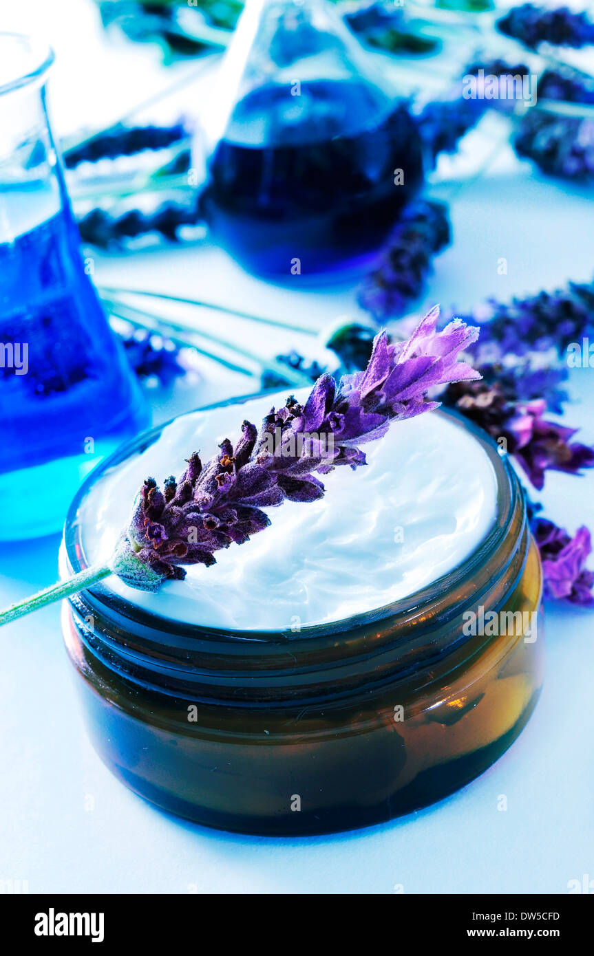 a cream jar and some lavender flowers and flasks in a cosmetics laboratory Stock Photo
