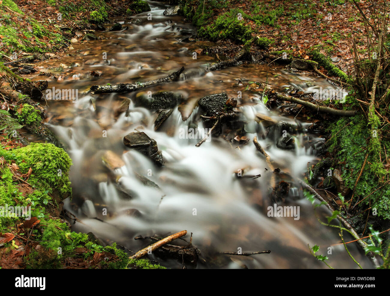 Water running through and down a stream in Exmoor Stock Photo