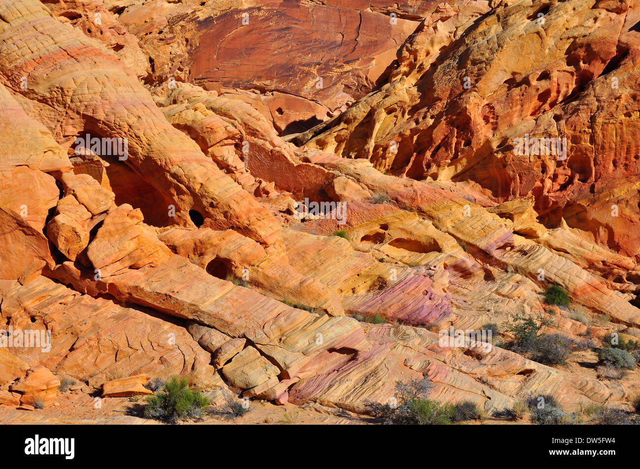 Rocky terrain in the Valley of Fire national park, Nevada, USA Stock Photo