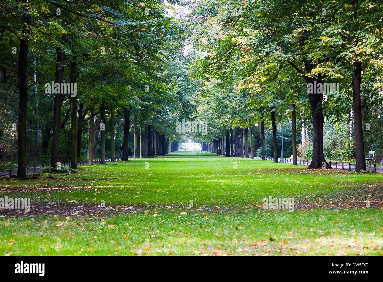 Tiergarten garden, Berlin Stock Photo