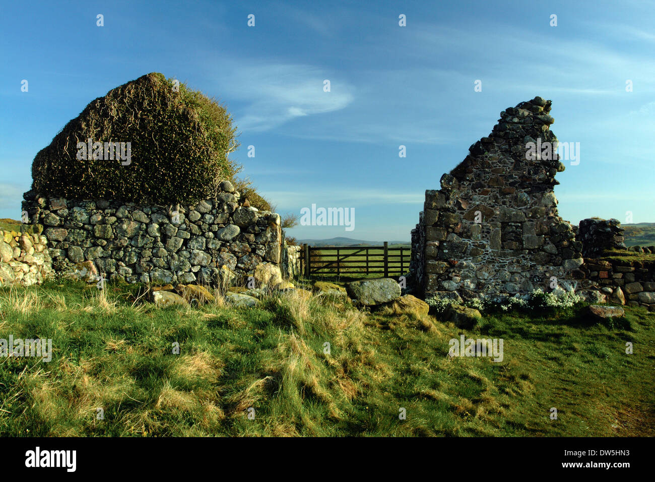 Ruined Cottage above Portling on the Colvend Coast, Dumfries & Galloway Stock Photo