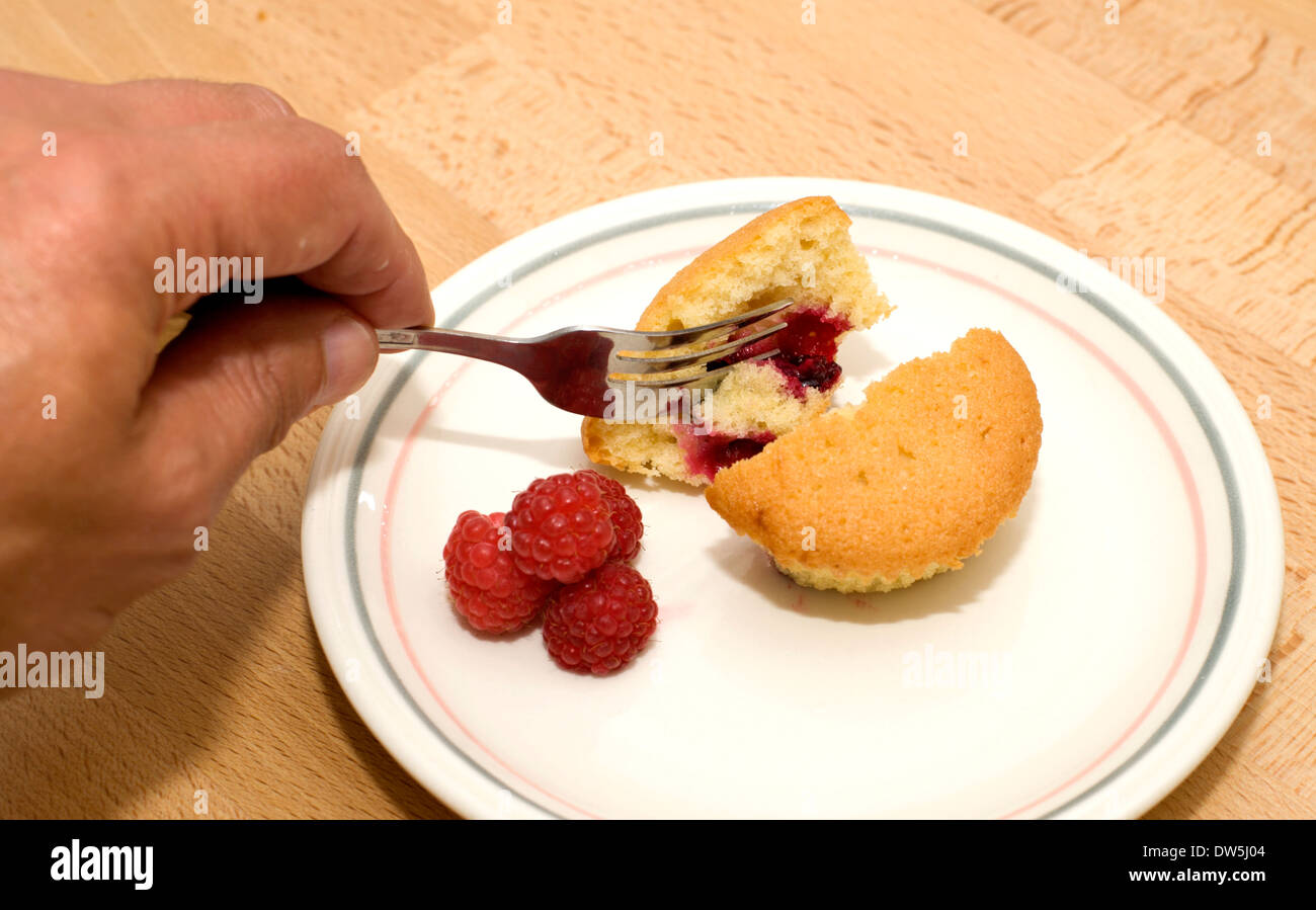 Freshly baked blackcurrant cupcake and fruit on a plate ready for eating Stock Photo