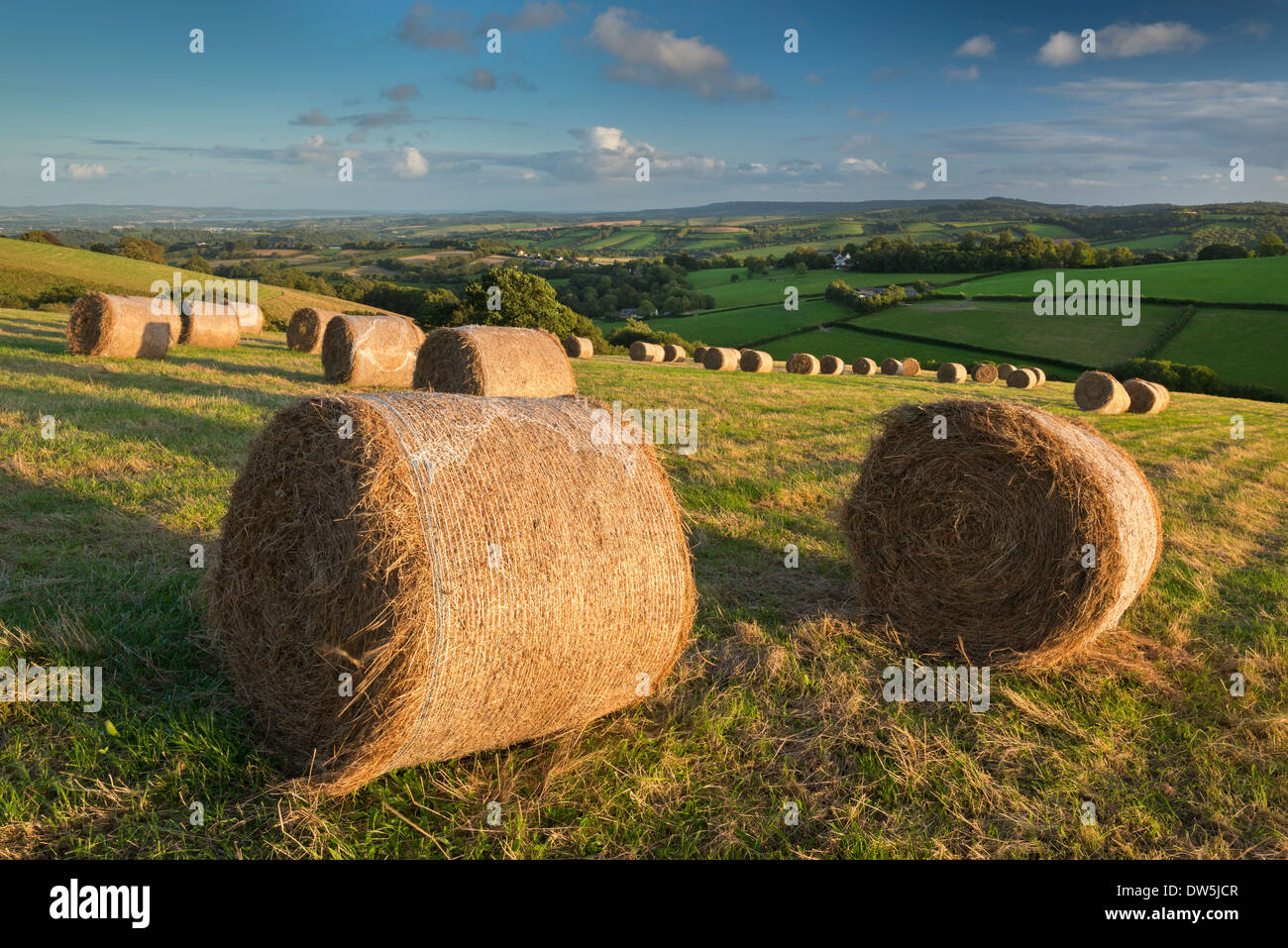 Hay Bales in the rolling fields of Mid Devon, England. Autumn (September) 2012. Stock Photo