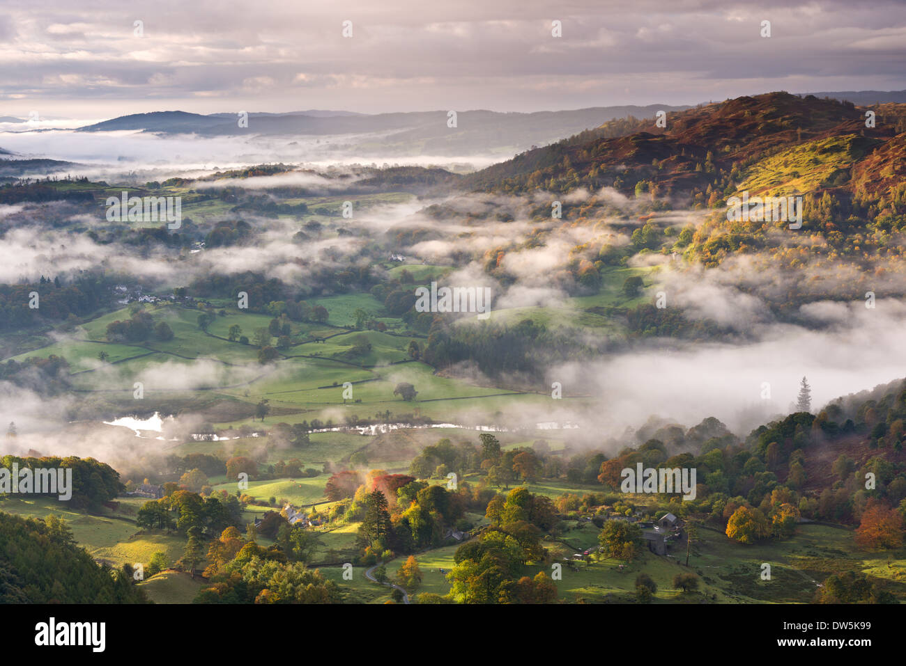 Patches of morning mist float above countryside near the River Brathay, Lake District National Park, Cumbria, England. Stock Photo