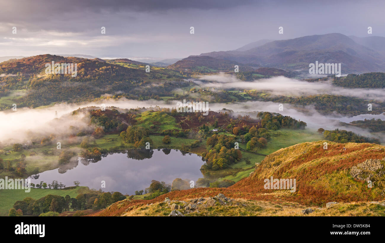 Mist covered landscape surrounding Loughrigg Tarn, Lake District, Cumbria, England. Autumn (October) 2012. Stock Photo
