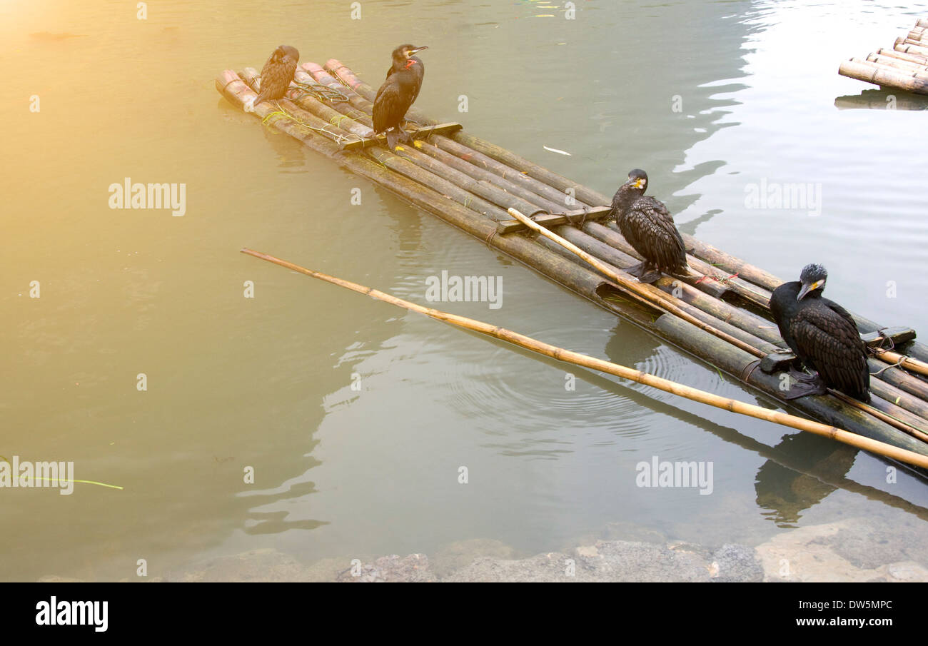 Animal raft hi-res stock photography and images - Alamy