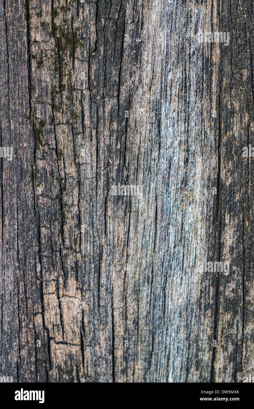 Cracked Wooden Plate Stock Photo