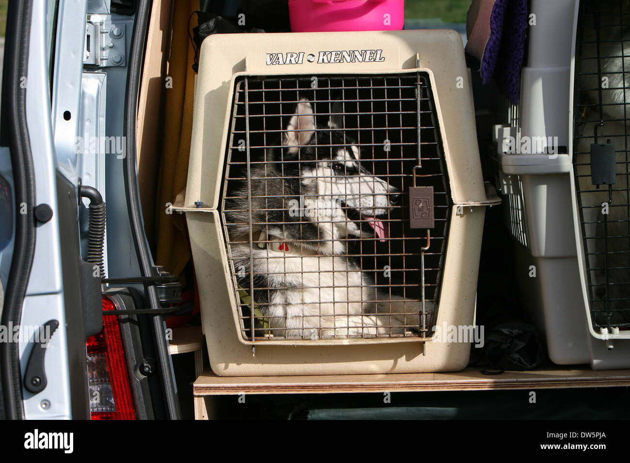 Dog Transport Box Flash Sales, SAVE 52%.