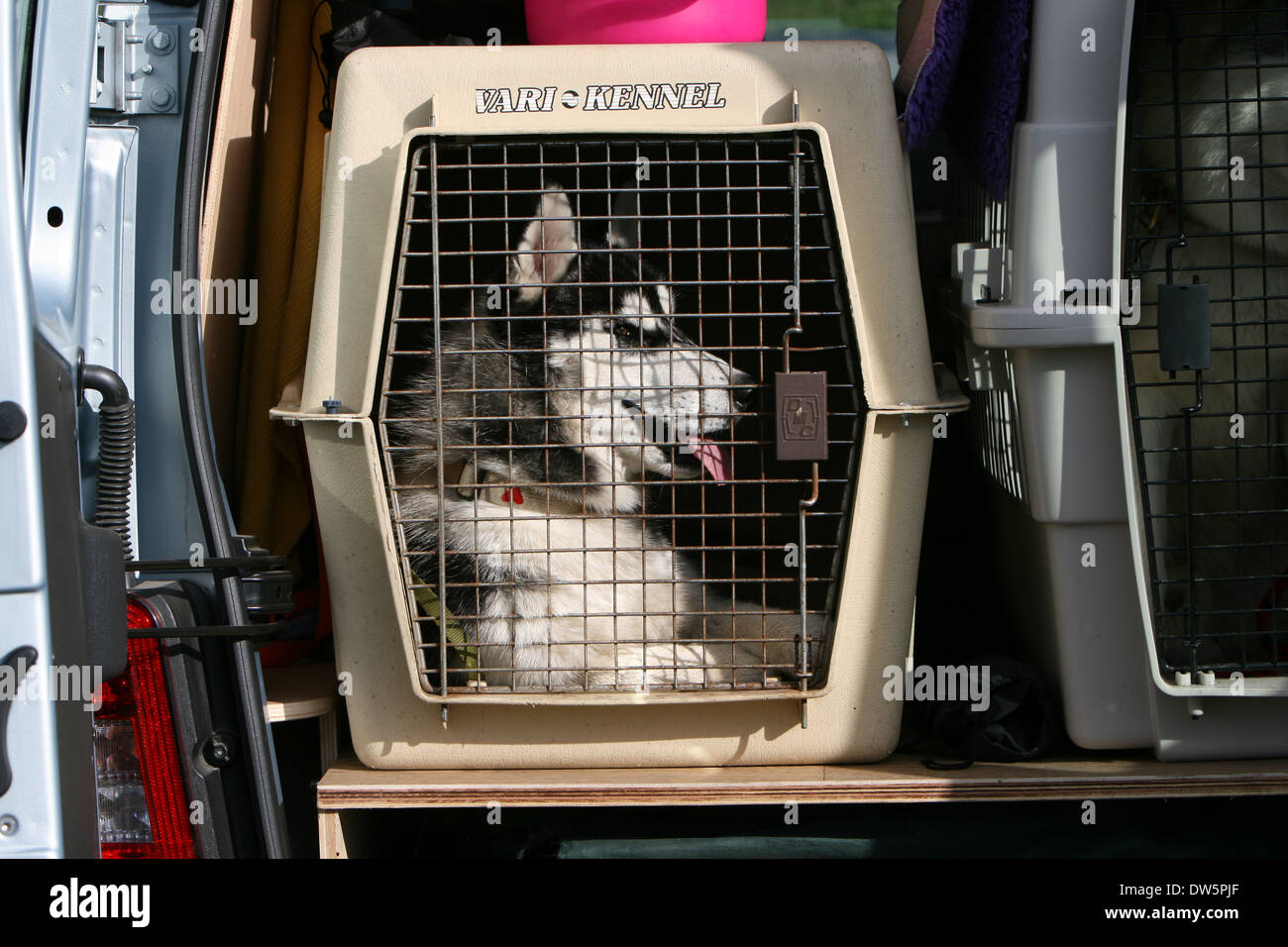 Trunk dog crate cheap