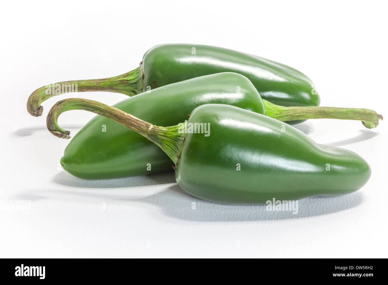 Three green hot Jalapeno chillies, the C. Annuum cultivar of the Capsicum family. Named after Jalapa town in Santa Cruz, Mexico Stock Photo