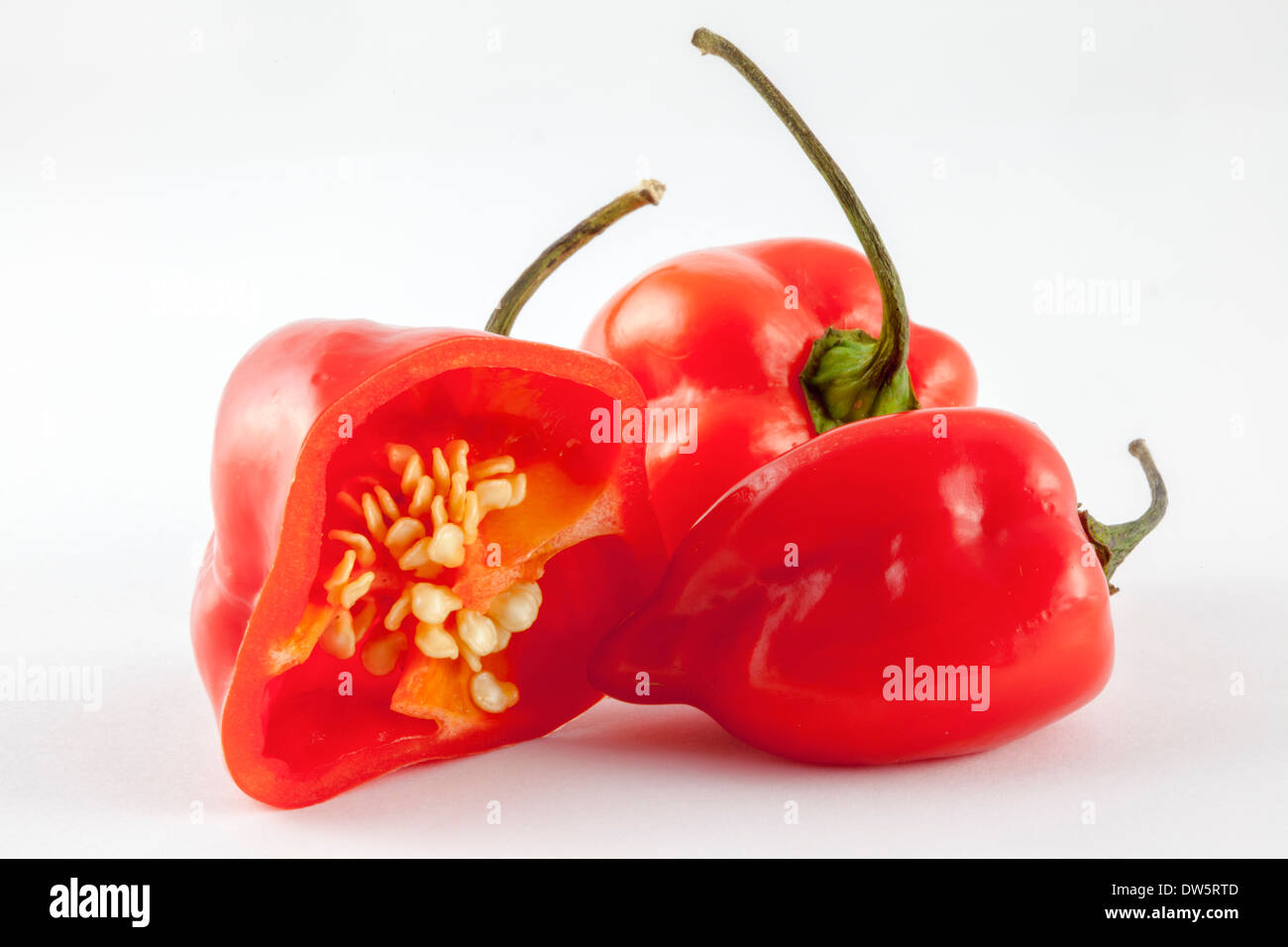 Three red,very hot Habanero chilli peppers from the C. Chinense