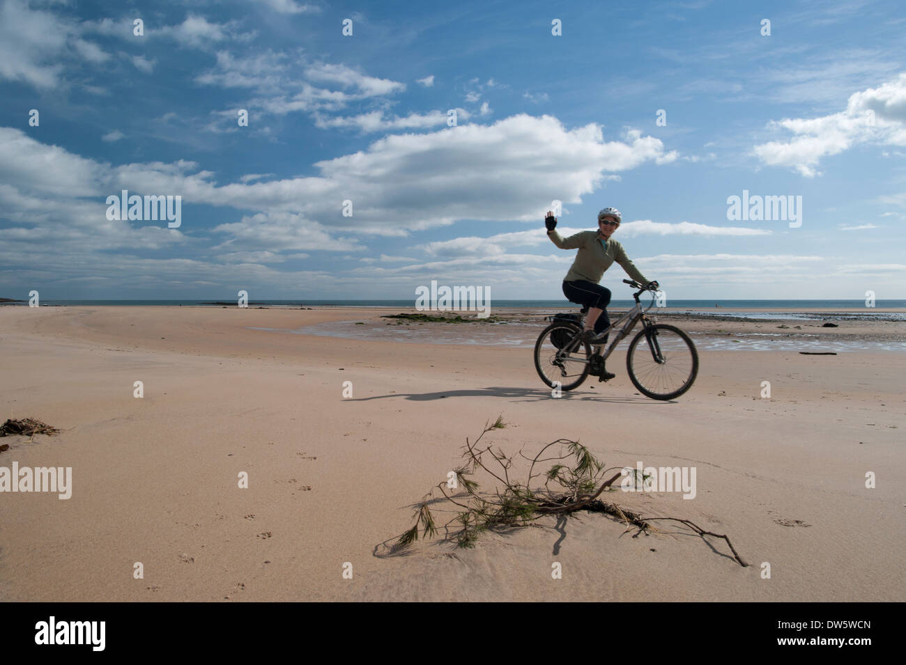 Woman cycling and waving on the beach of Beadnell Bay, Northumberland, England, on a sunny day Stock Photo