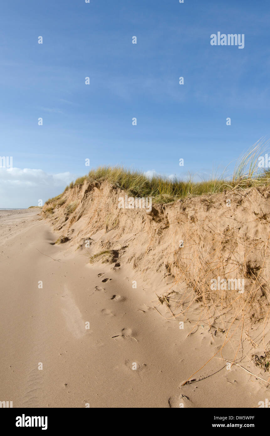 Lungful of air hi-res stock photography and images - Alamy