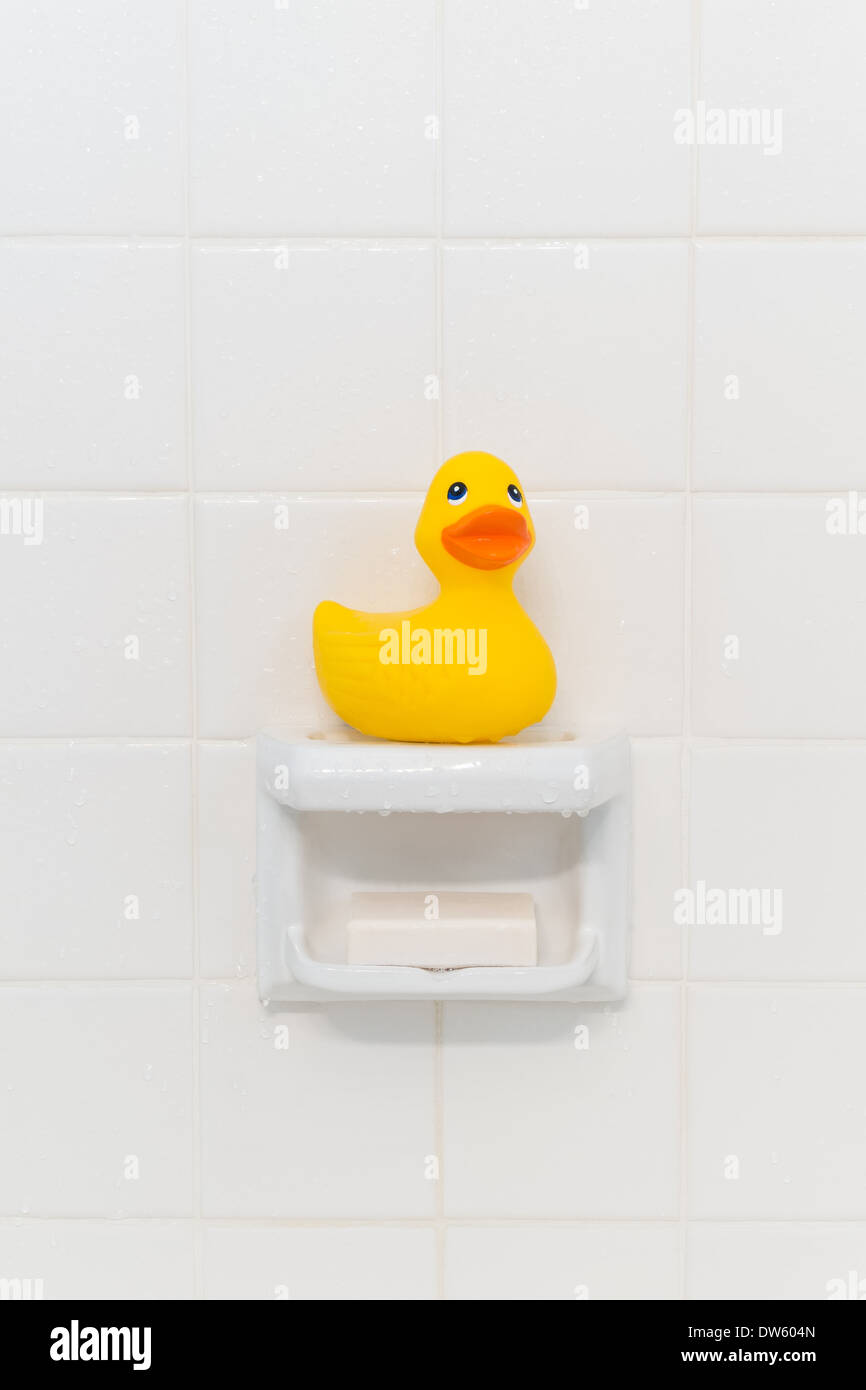 Yellow rubber duck sitting on a soap dish in a shower Stock Photo