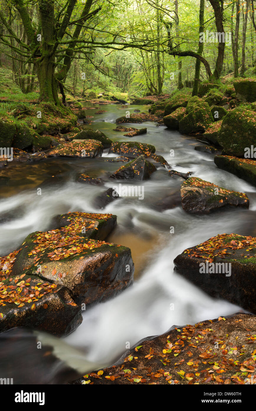 River Fowey tumbling through rocks at Golitha Falls, Cornwall, England. Autumn (September) 2013. Stock Photo