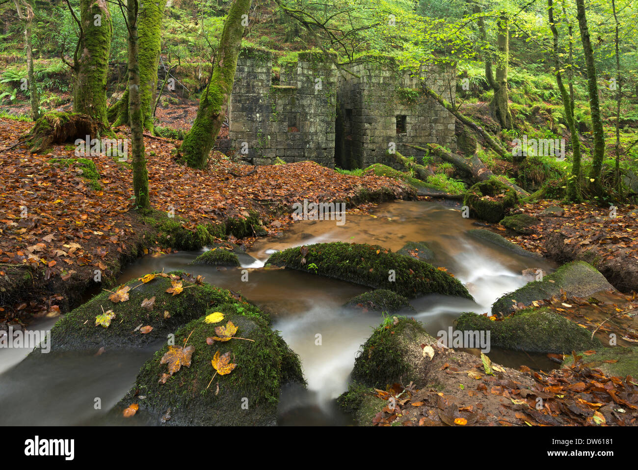 Remains of gunpowder mills at Kennall Vale Nature Reserve in Ponsanooth near Falmouth, Cornwall, England. Autumn (October) 2013. Stock Photo