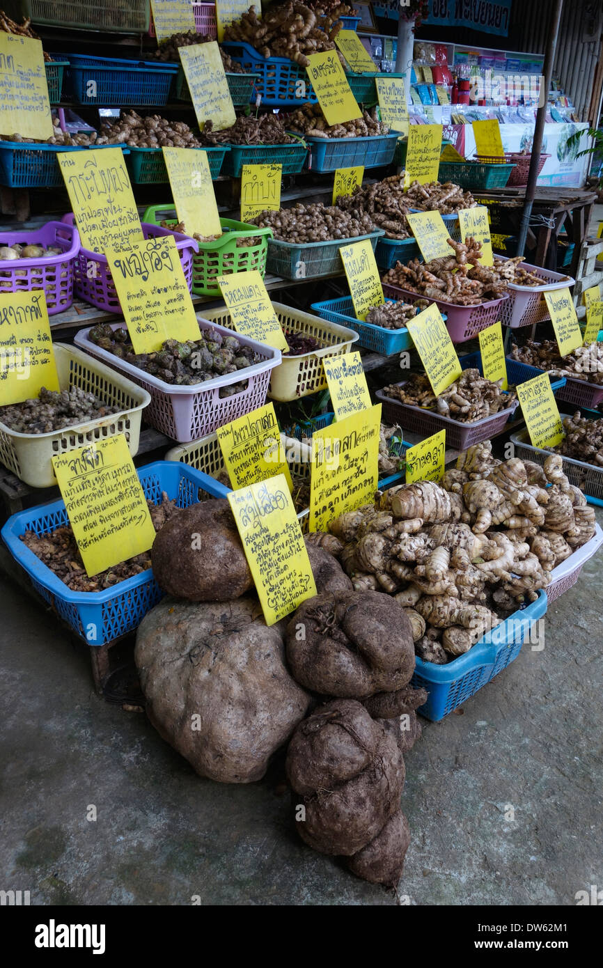 Tropical plant bulbs for sale at a stand outside Chang Dao Cave in
