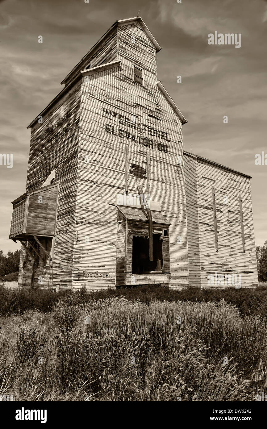 Grain elevators at Rudyard Montana. Sometimes called the Prairie cathedrals, the older elevators were made of wood. Stock Photo
