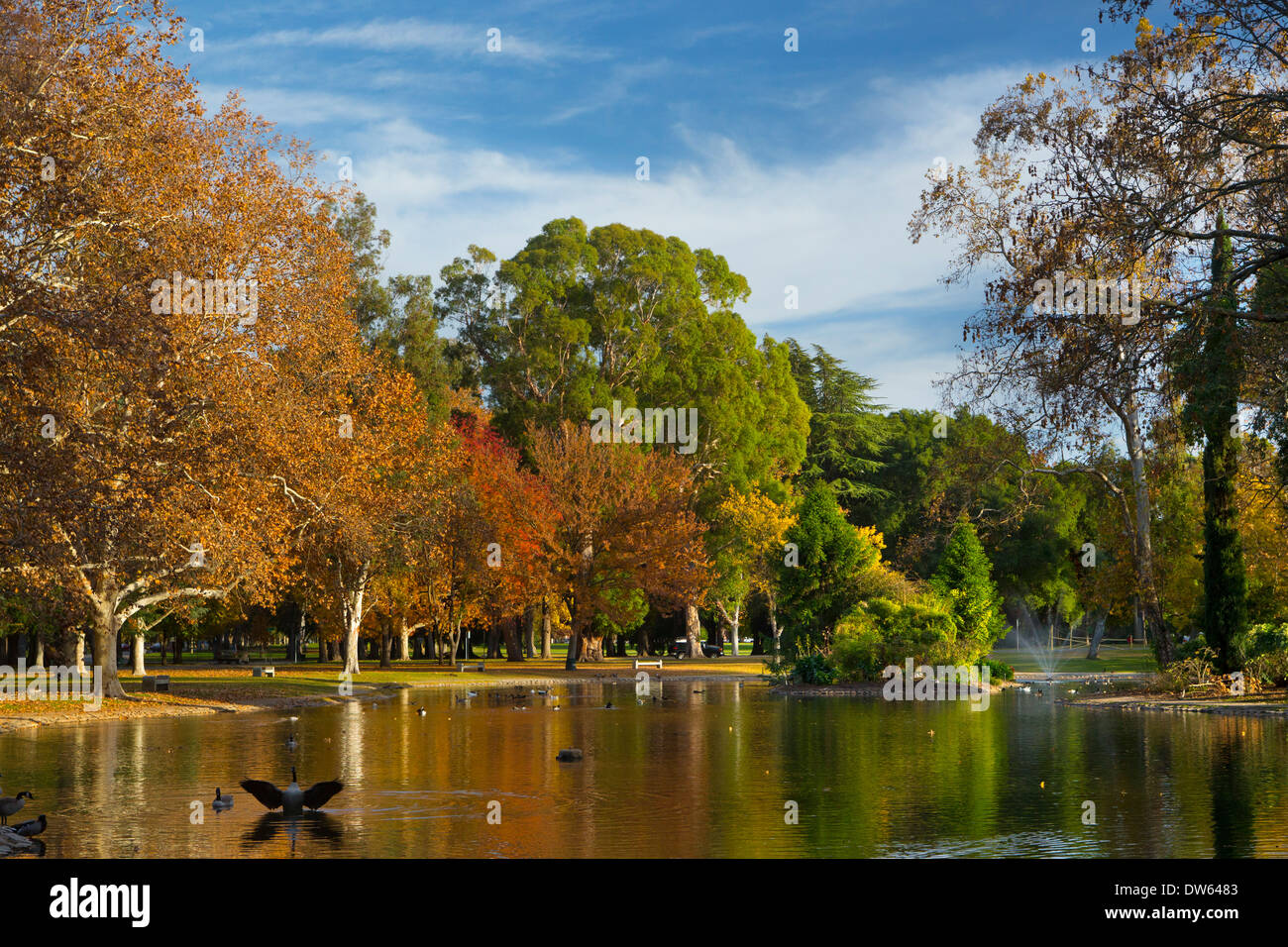 Fall colors in William Land Park, Sacramento, California Stock Photo