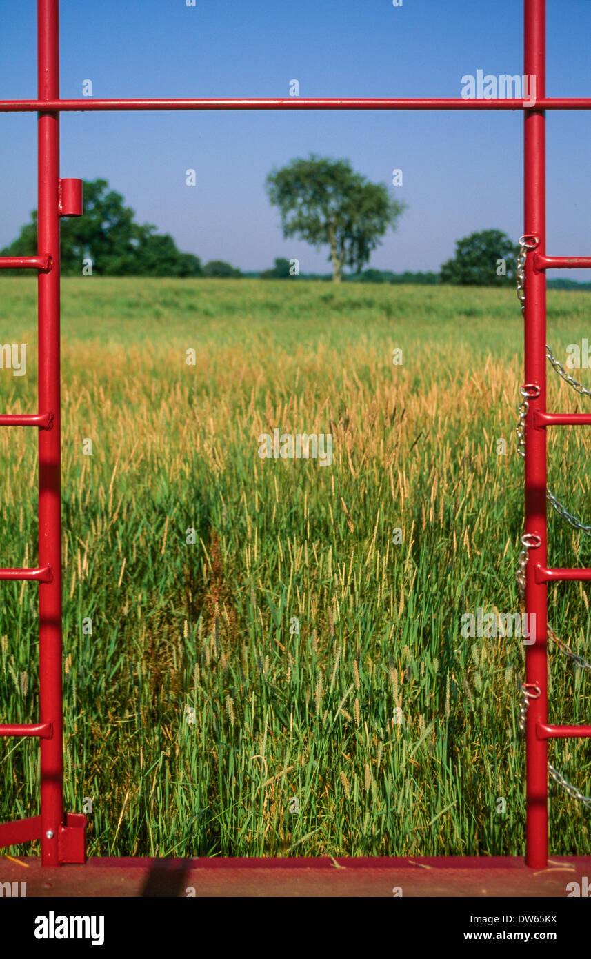 Connecticut farm land agriculture rural fields hay cart trolley pasture