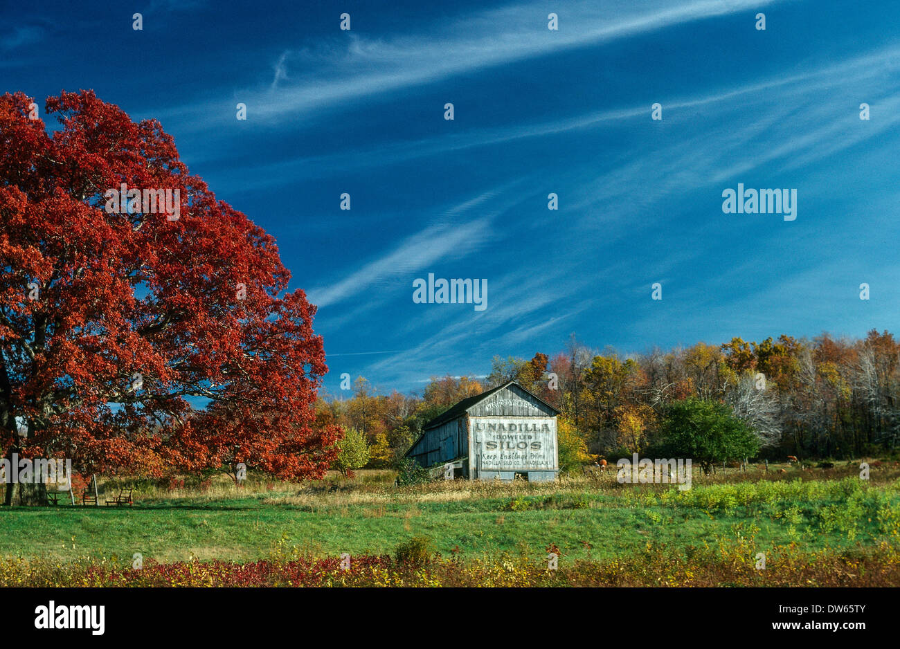 Old Barn In Middletown Ct With Hand Painted Billboard For Unadillo