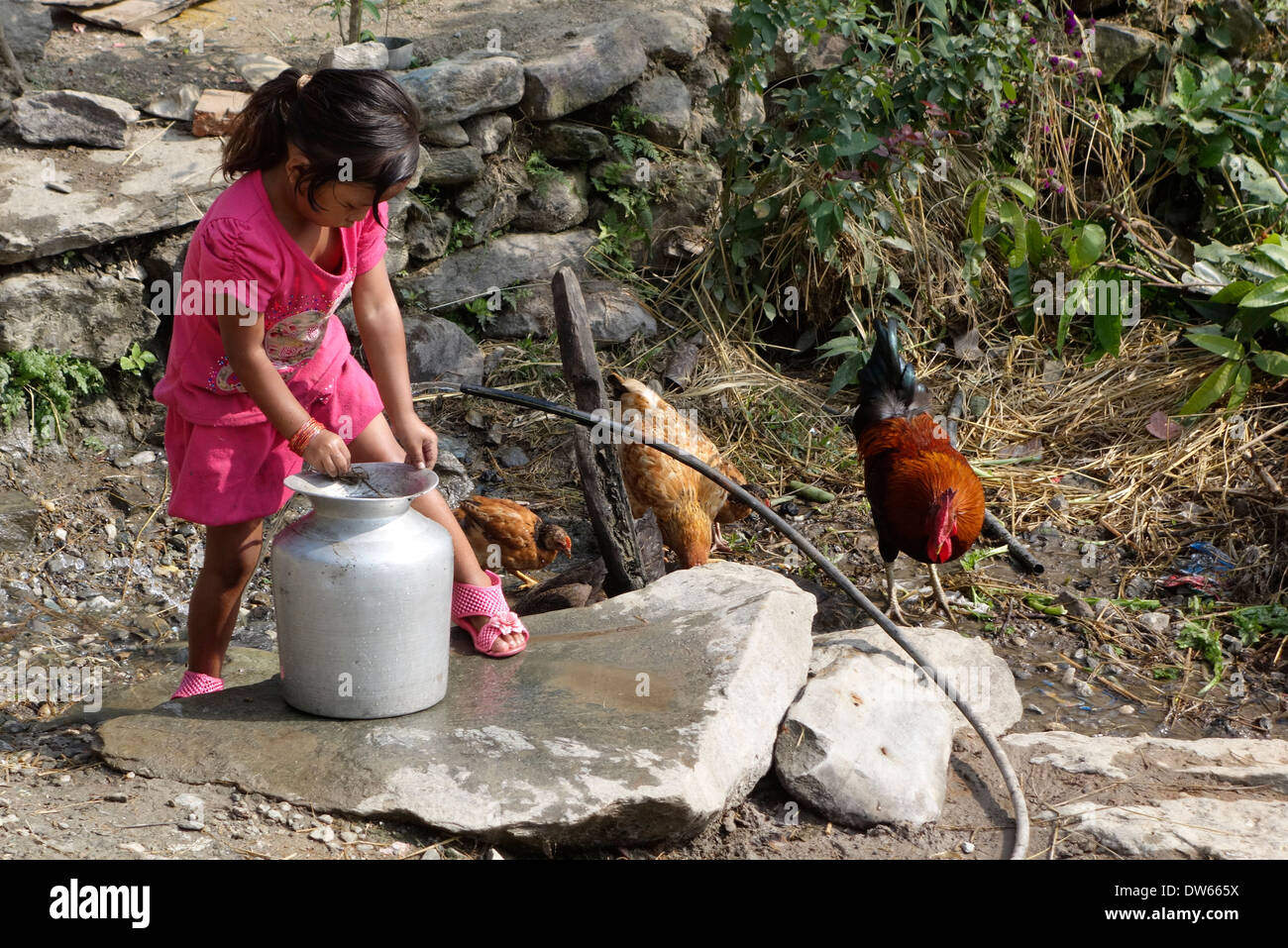 Nepalese girl and chickens in the Gorkha region, Nepal. Stock Photo