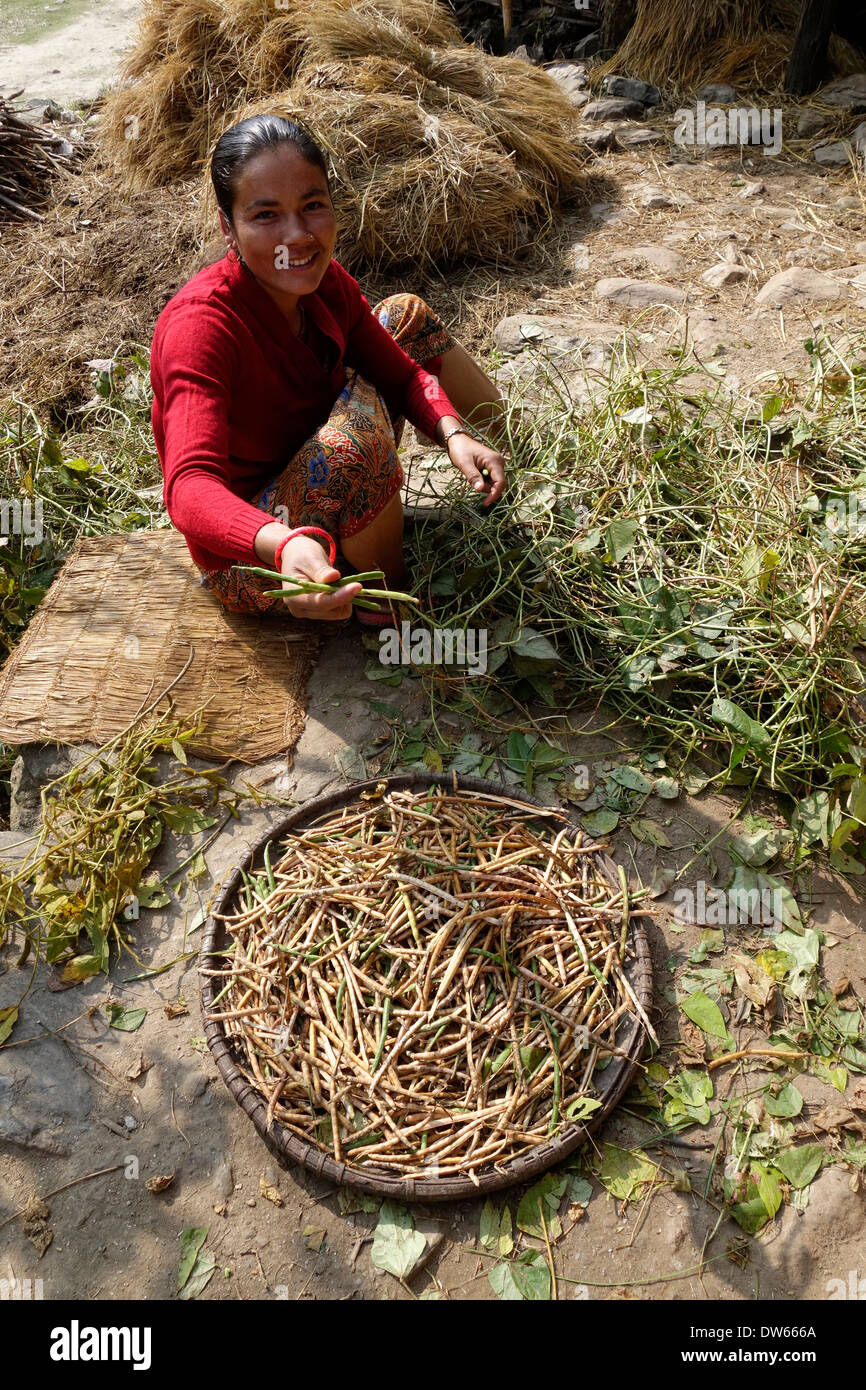 Woman offering to share her bean harvest, Gorkha region, Nepal. Stock Photo