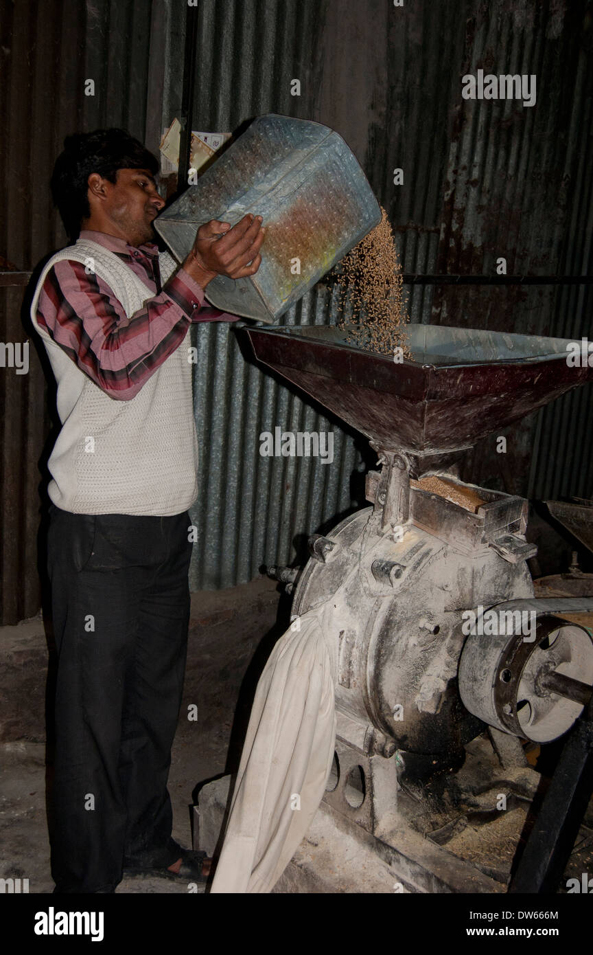 1 Indian man grinding corn to flour in machine Stock Photo Alamy