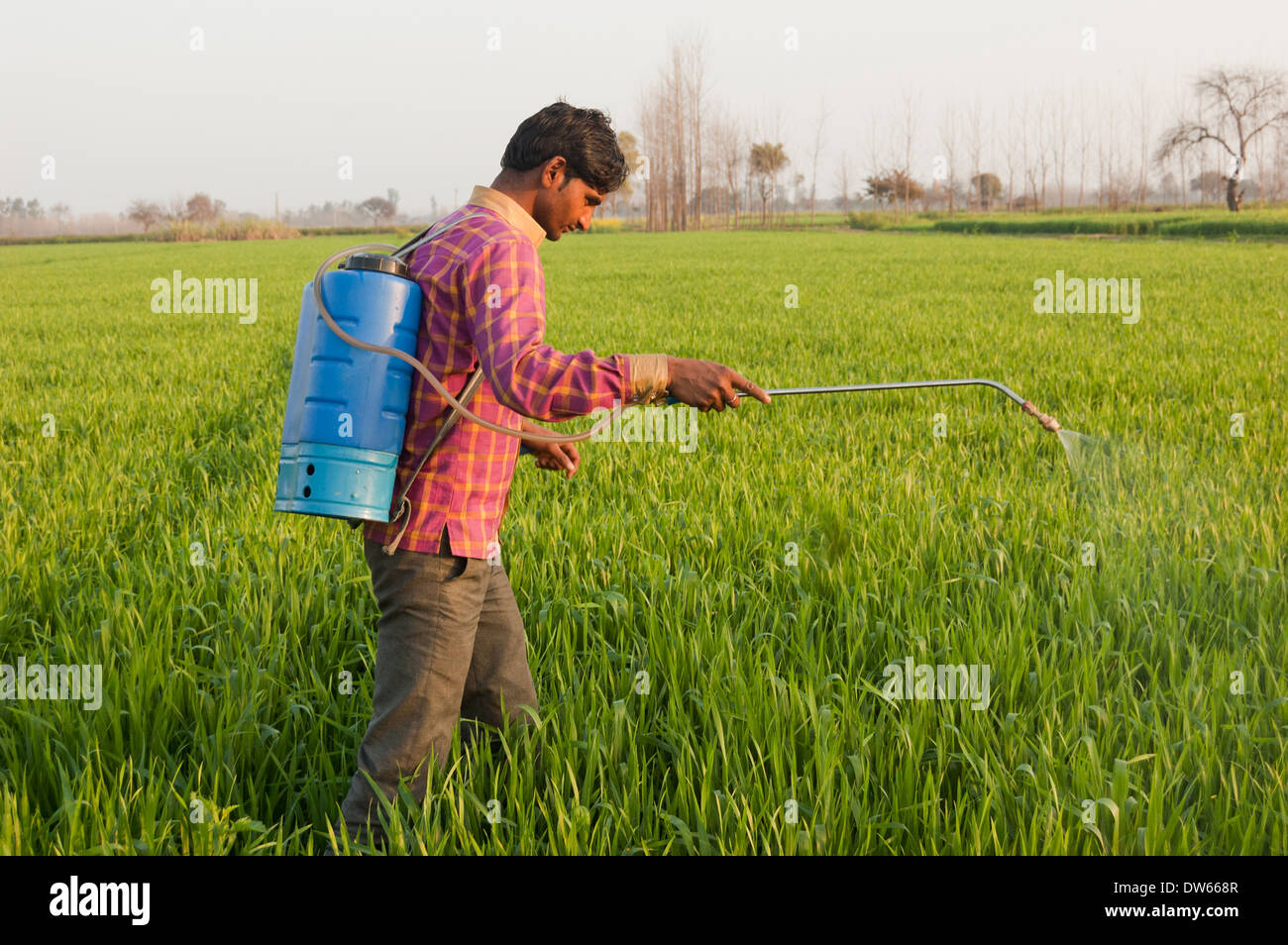 Farm india pesticide hires stock photography and images Alamy