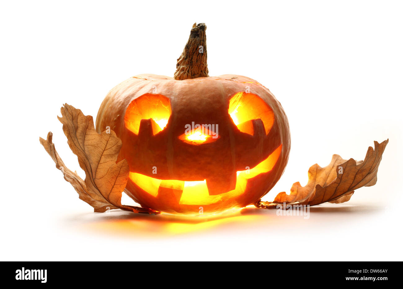 Funny halloween pumpkin with oak leaves Stock Photo