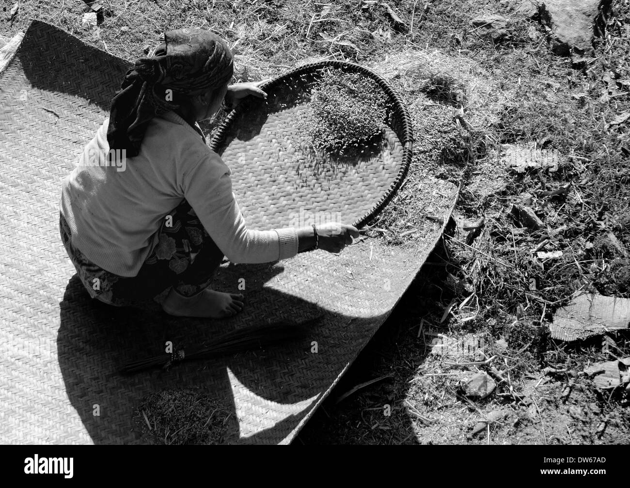 Woman sifting grain in Bahundanda, Nepal Stock Photo Alamy