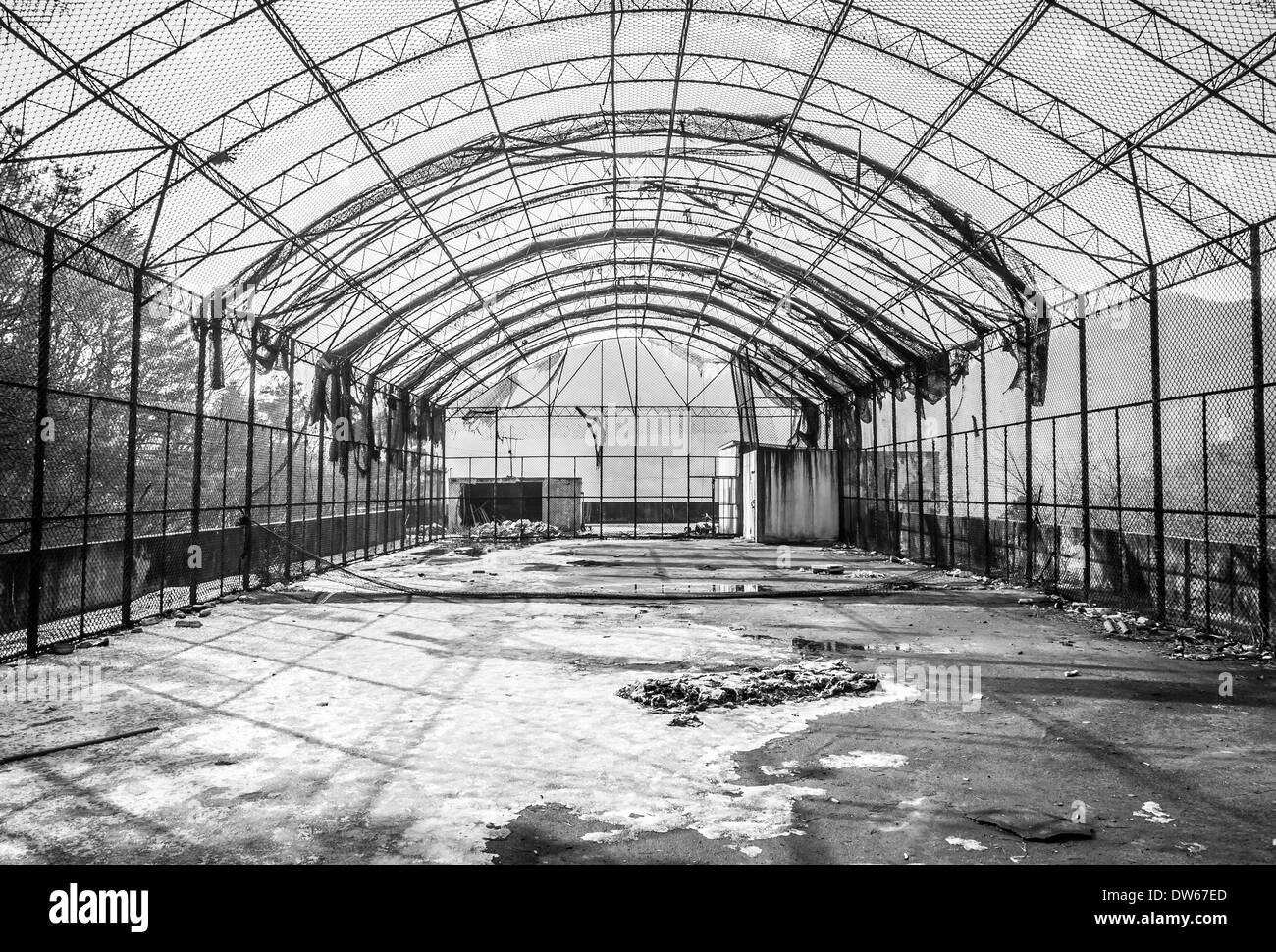 Gonjiam psychiatric hospital in South Korea. The hospital was abandoned nearly twenty years ago. Stock Photo