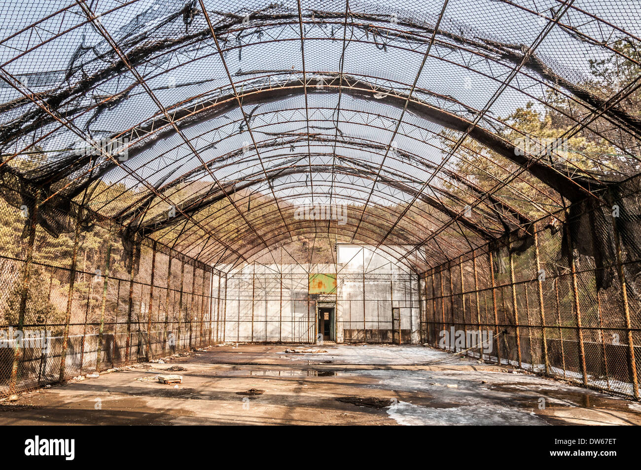 Gonjiam psychiatric hospital in South Korea. The hospital was abandoned nearly twenty years ago. Stock Photo