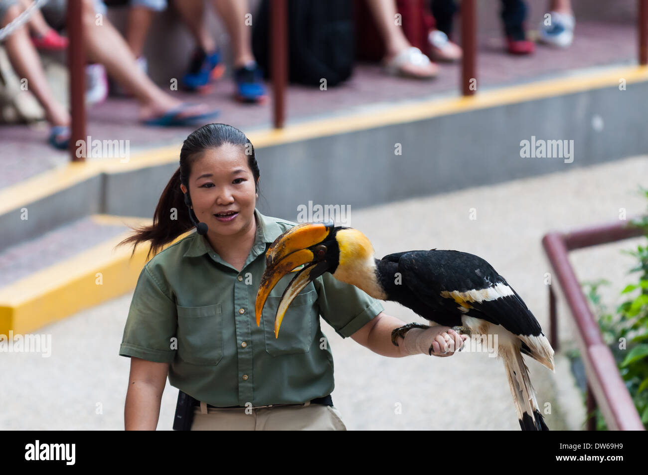 An animal trainer shows a bird to the audience at Jurong Bird Park in Singapore. Stock Photo