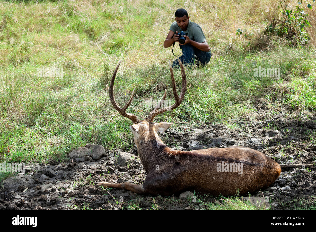 Wildlife photographer hi-res stock photography and images - Alamy