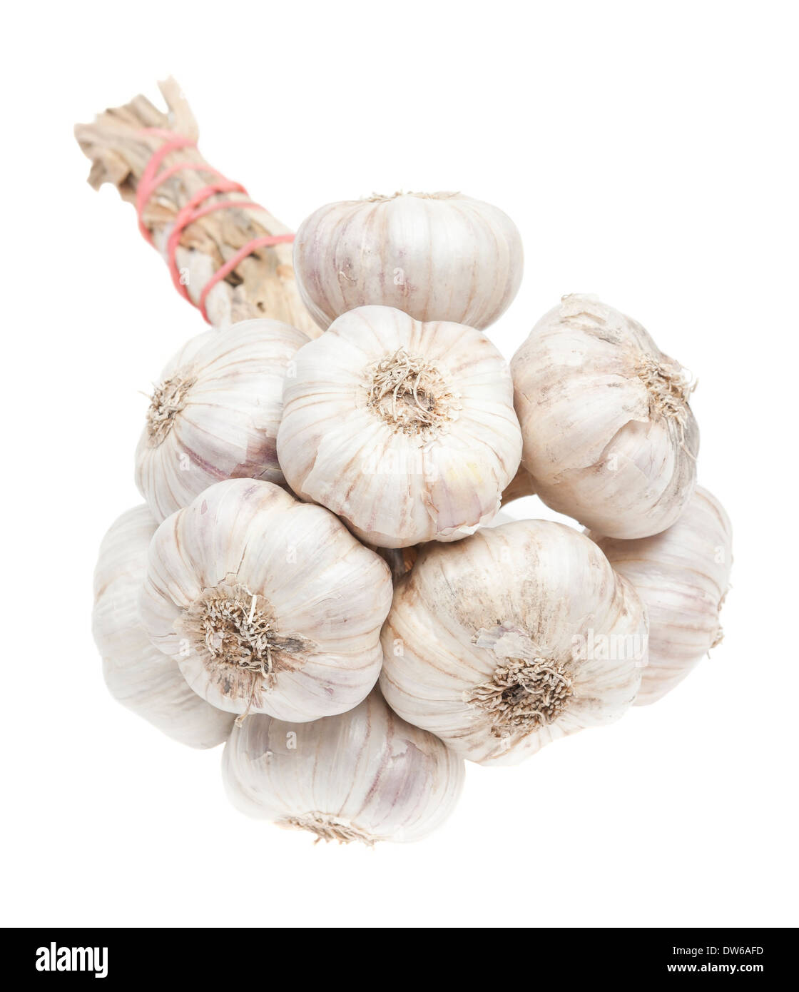 Isolated garlic bunch on white background Stock Photo - Alamy