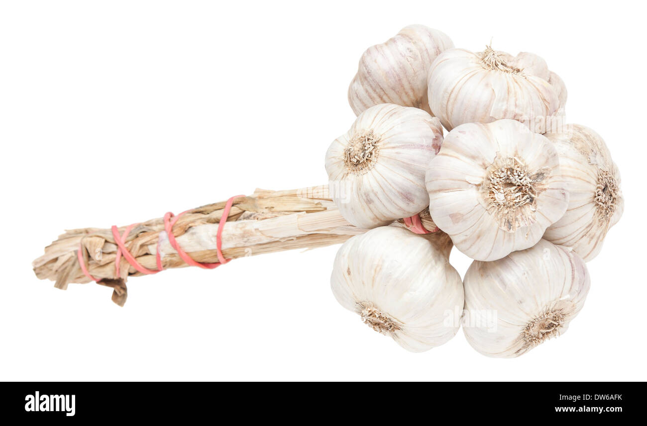 Isolated garlic bunch on white background Stock Photo - Alamy