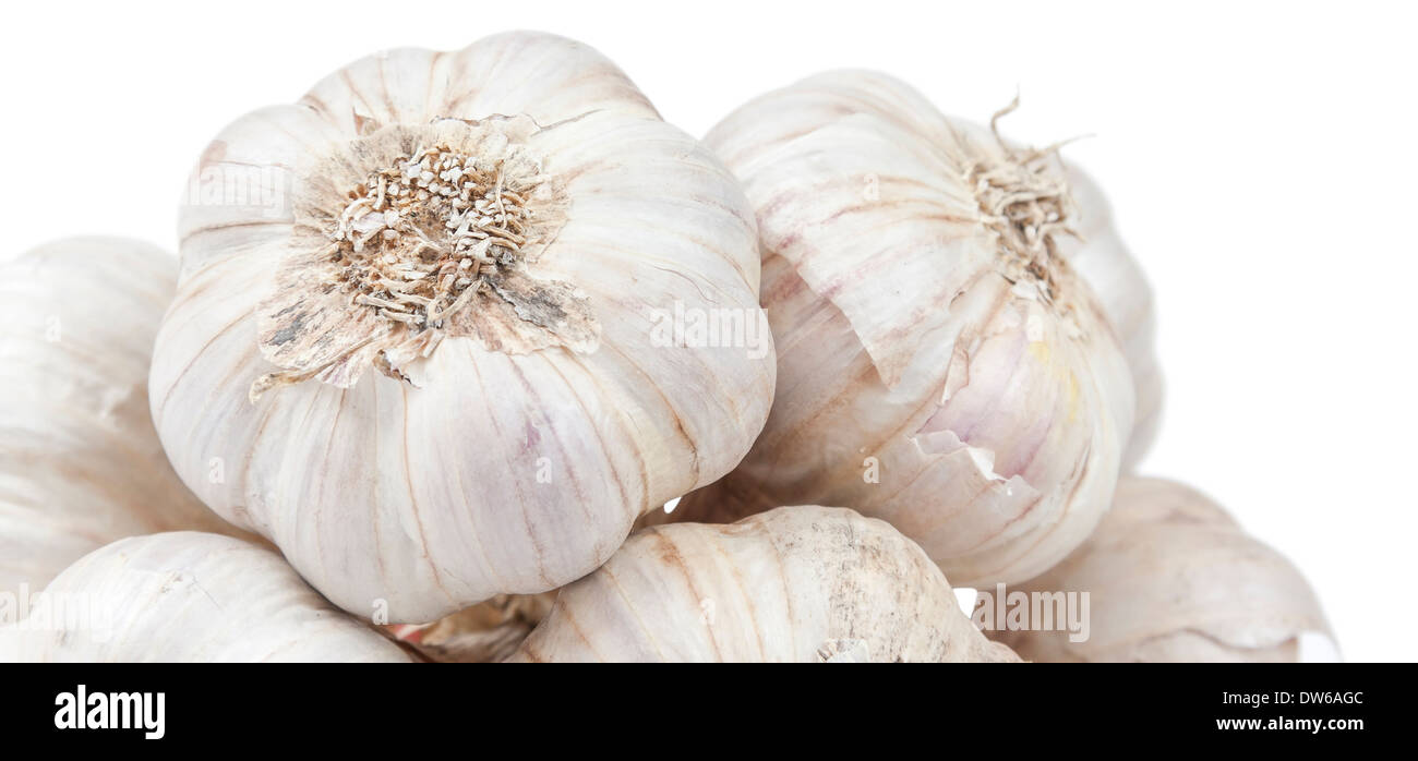 Isolated garlic bunch on white background Stock Photo - Alamy