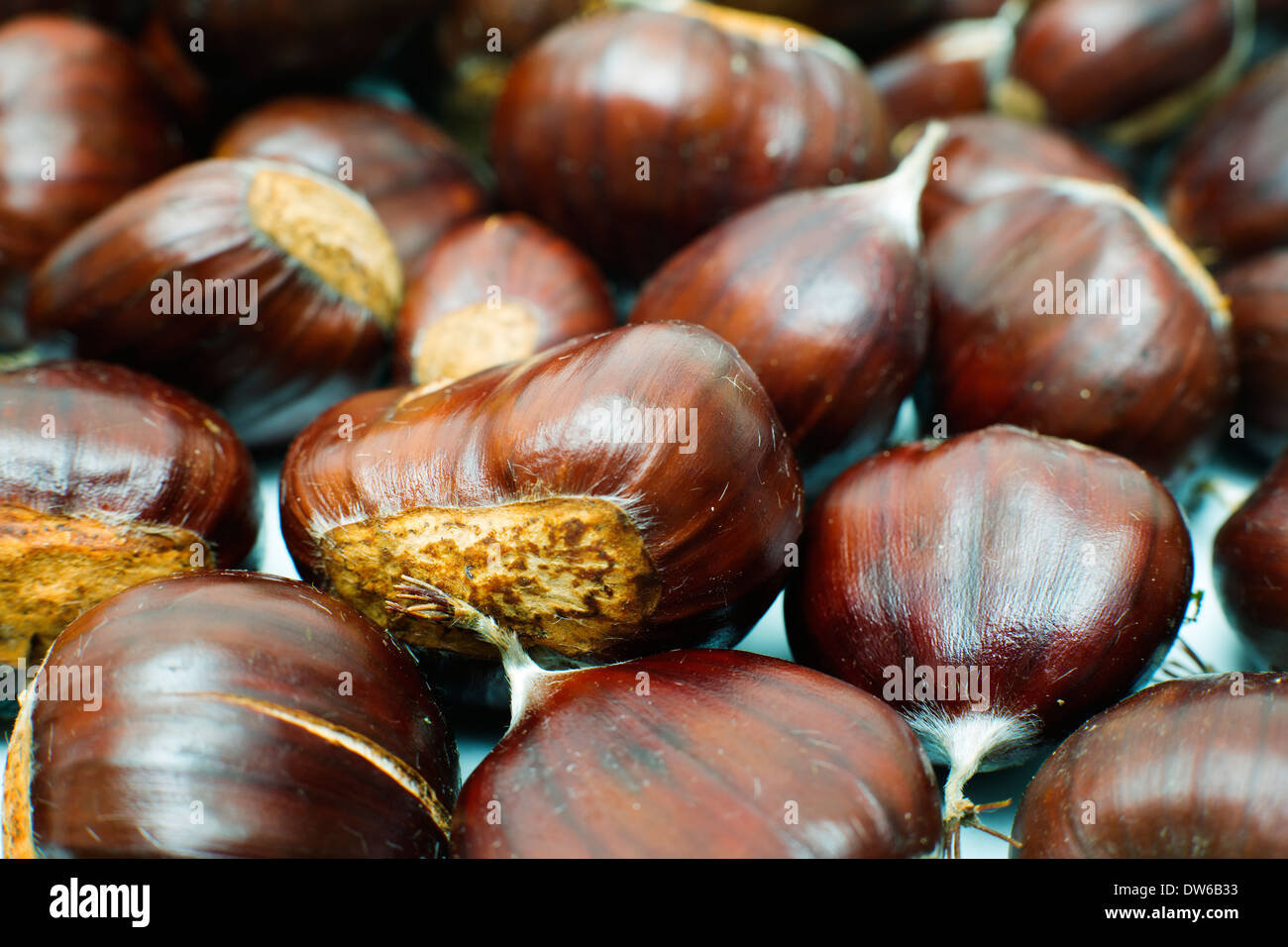 Sweet chestnuts Stock Photo