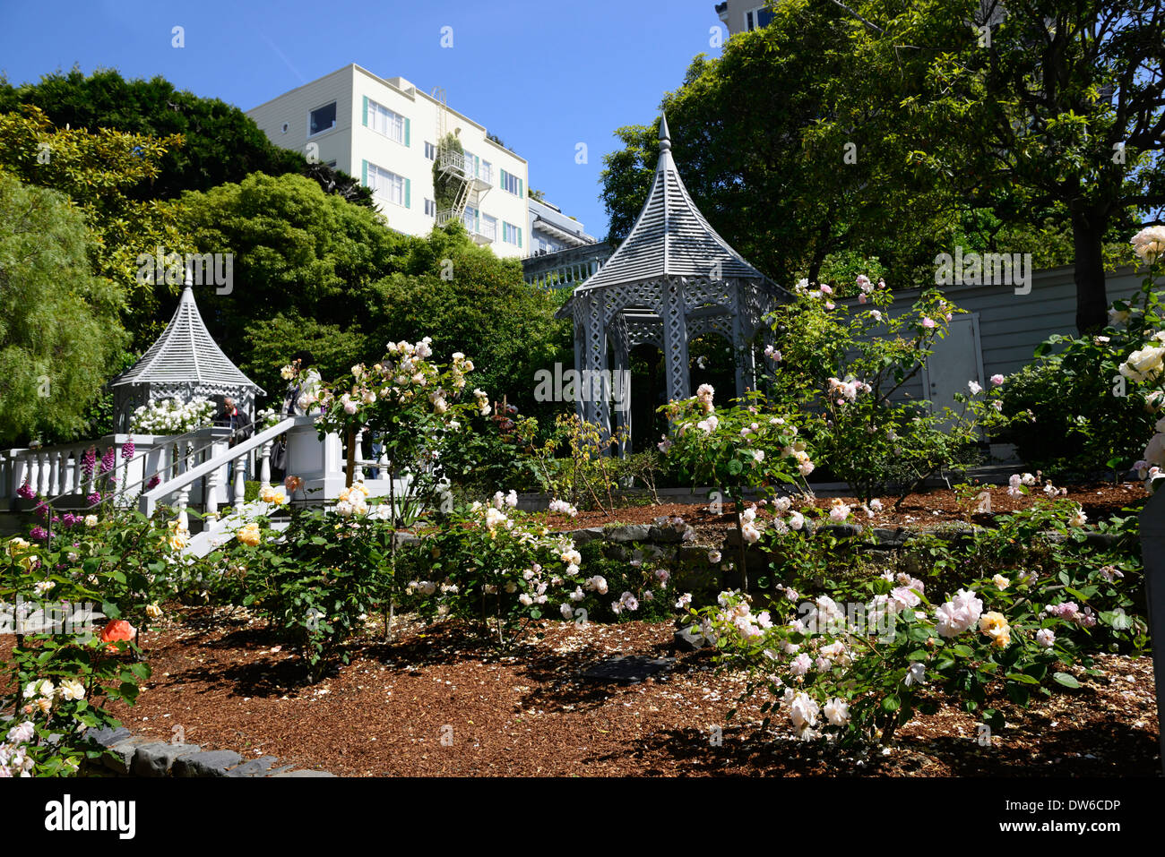 Fay Park Historic Thomas Church Pergola Rose Garden Gardens