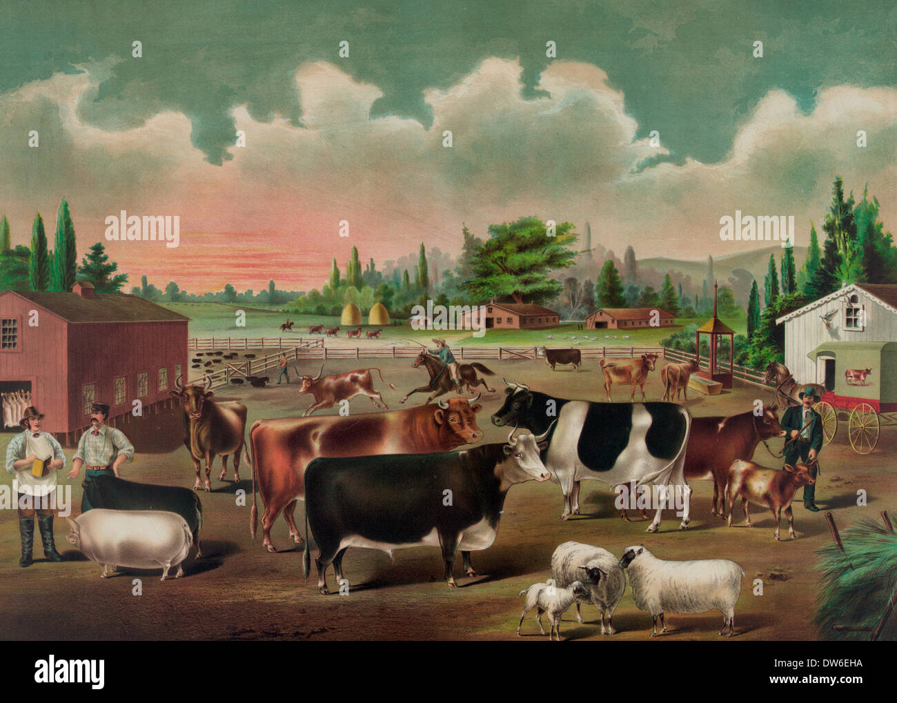 Butcher's Delight - farm animals in the field, circa 1887 Stock Photo