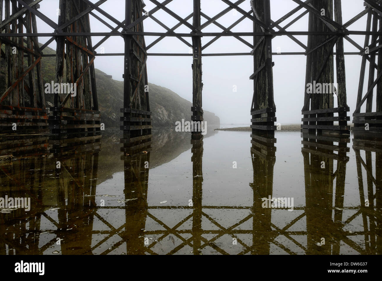 The Pudding Creek Trestle fog Fort Bragg Ten Mile Beach Trail