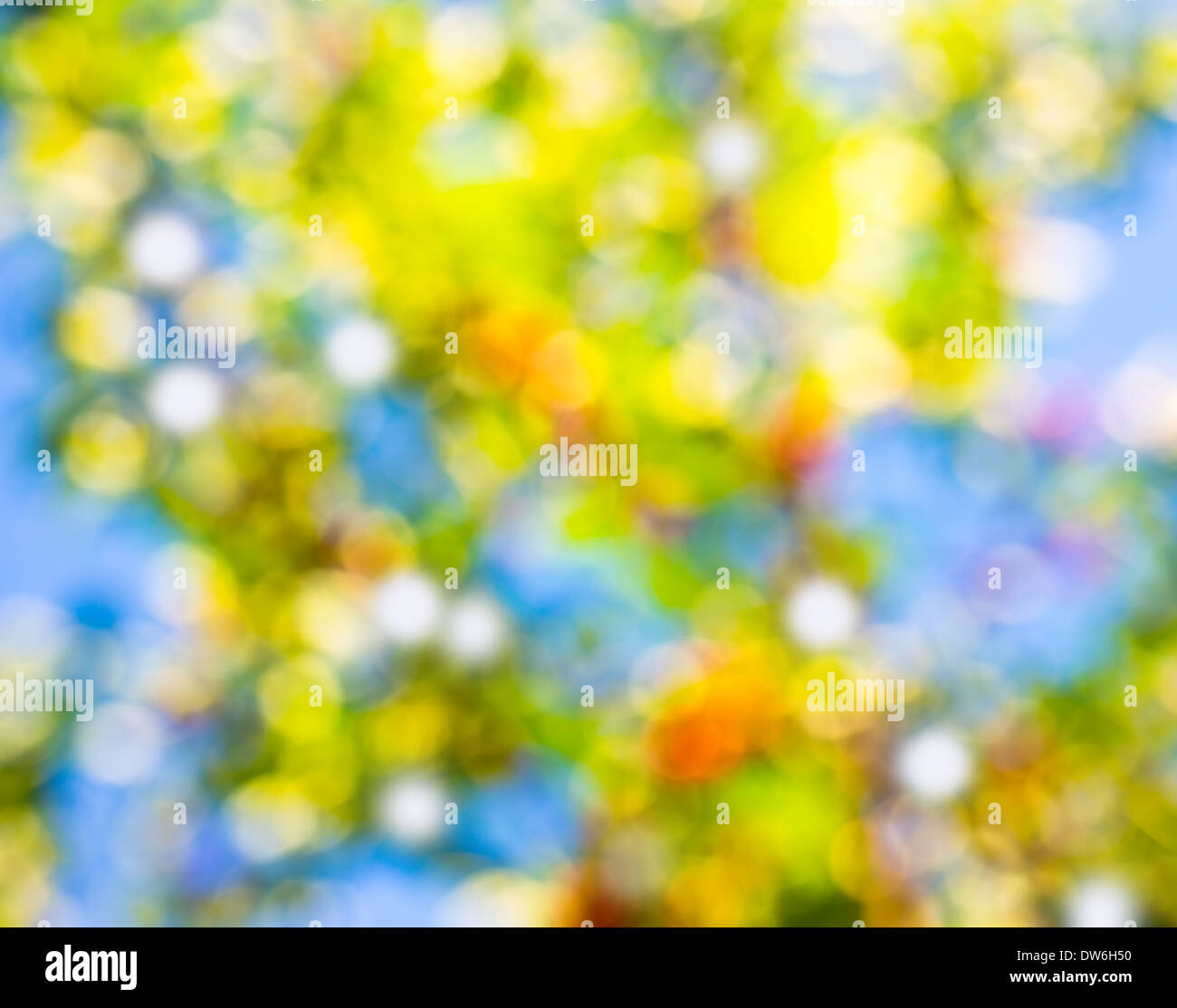 natural spring bokeh green and blue color Stock Photo
