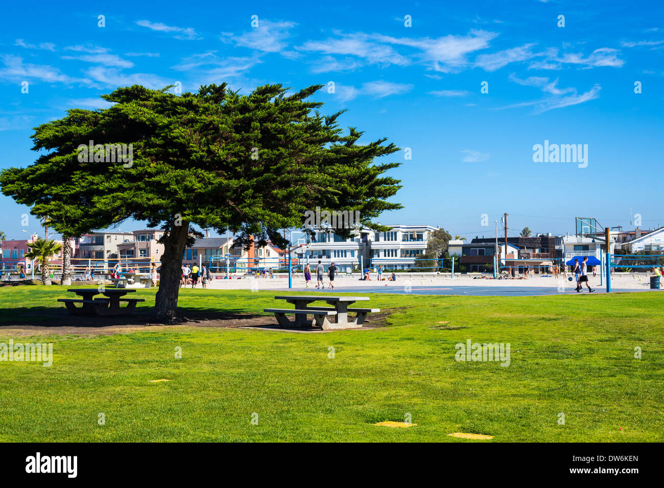 South Mission Beach Park. San Diego, California, United States Stock