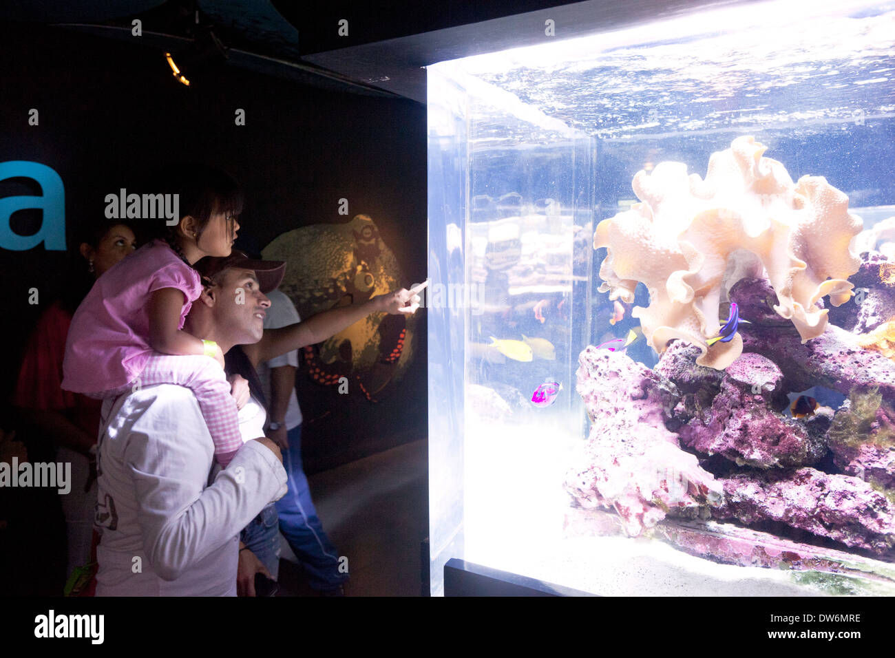 Colombia Medellin Man with girl on shoulders looking at fish in aquarium at Parque Explora Stock Photo