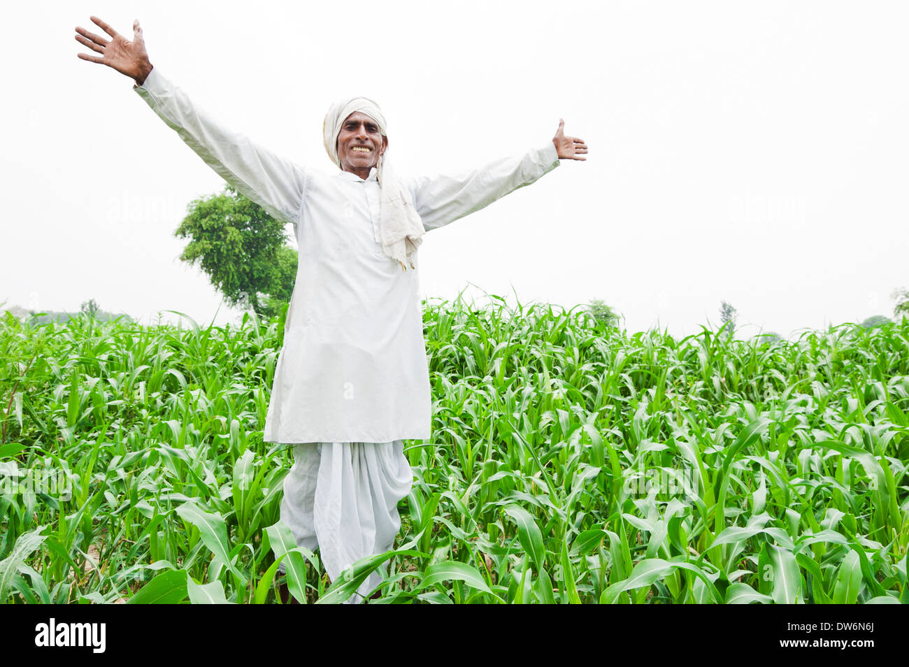 1 Indian farmer standing and looking to sky Stock Photo - Alamy